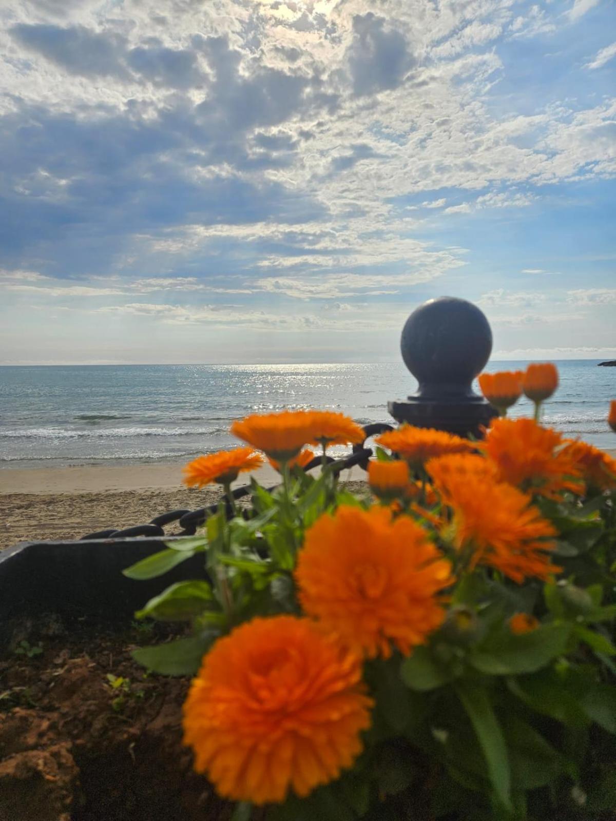 Mondrian Magic World - Sea View First Line Of The Beach Oropesa del Mar Eksteriør bilde