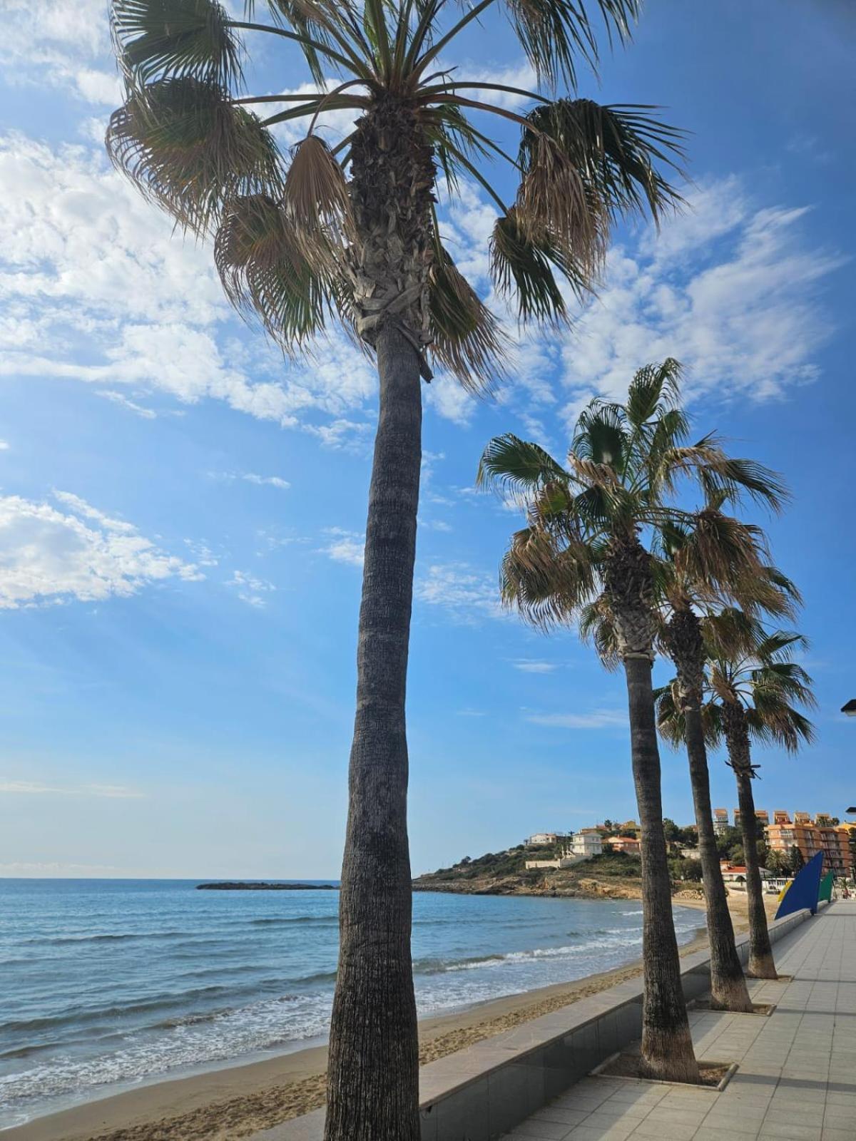 Mondrian Magic World - Sea View First Line Of The Beach Oropesa del Mar Eksteriør bilde