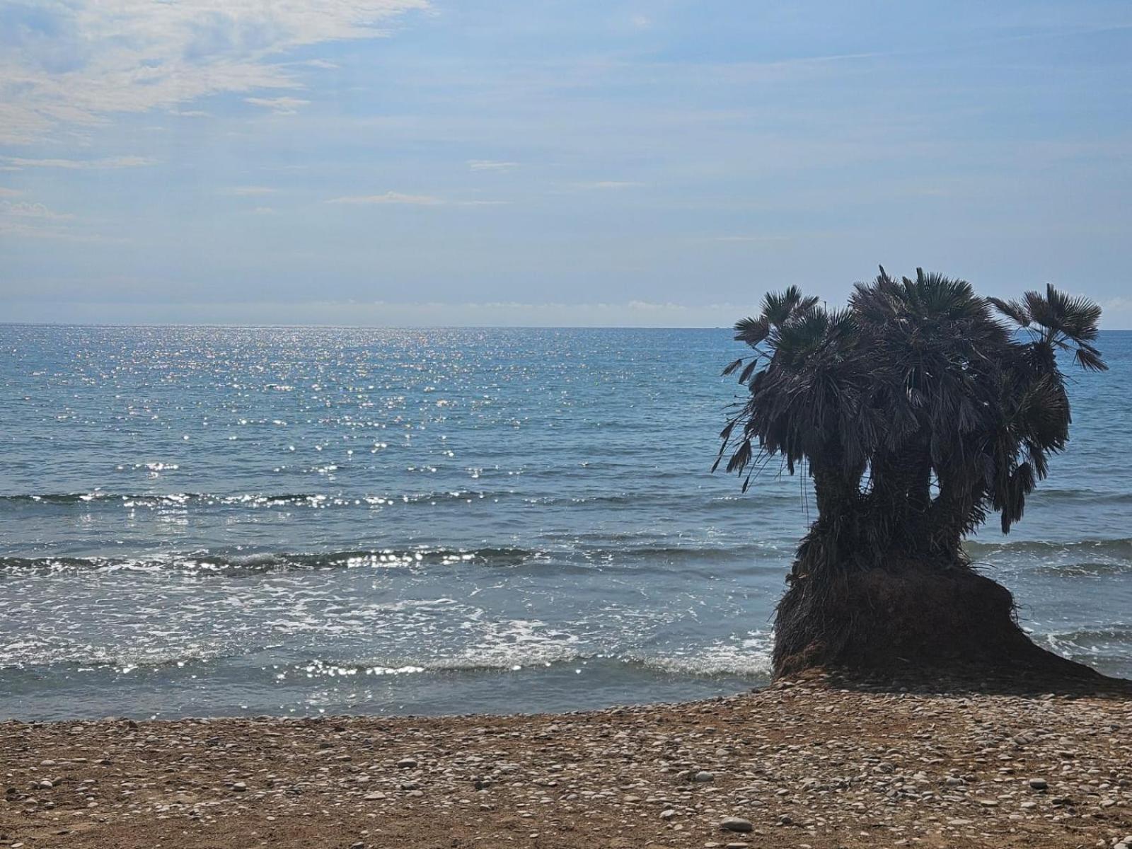 Mondrian Magic World - Sea View First Line Of The Beach Oropesa del Mar Eksteriør bilde
